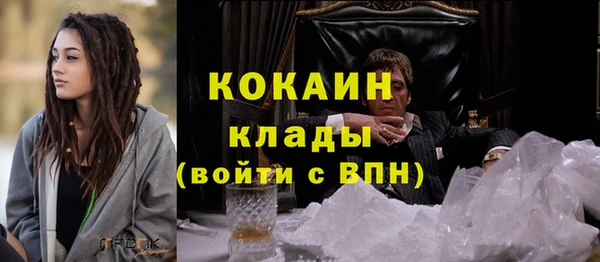 молекула духа Алексин