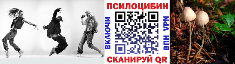 Галлюциногенные грибы мицелий  Александровск 